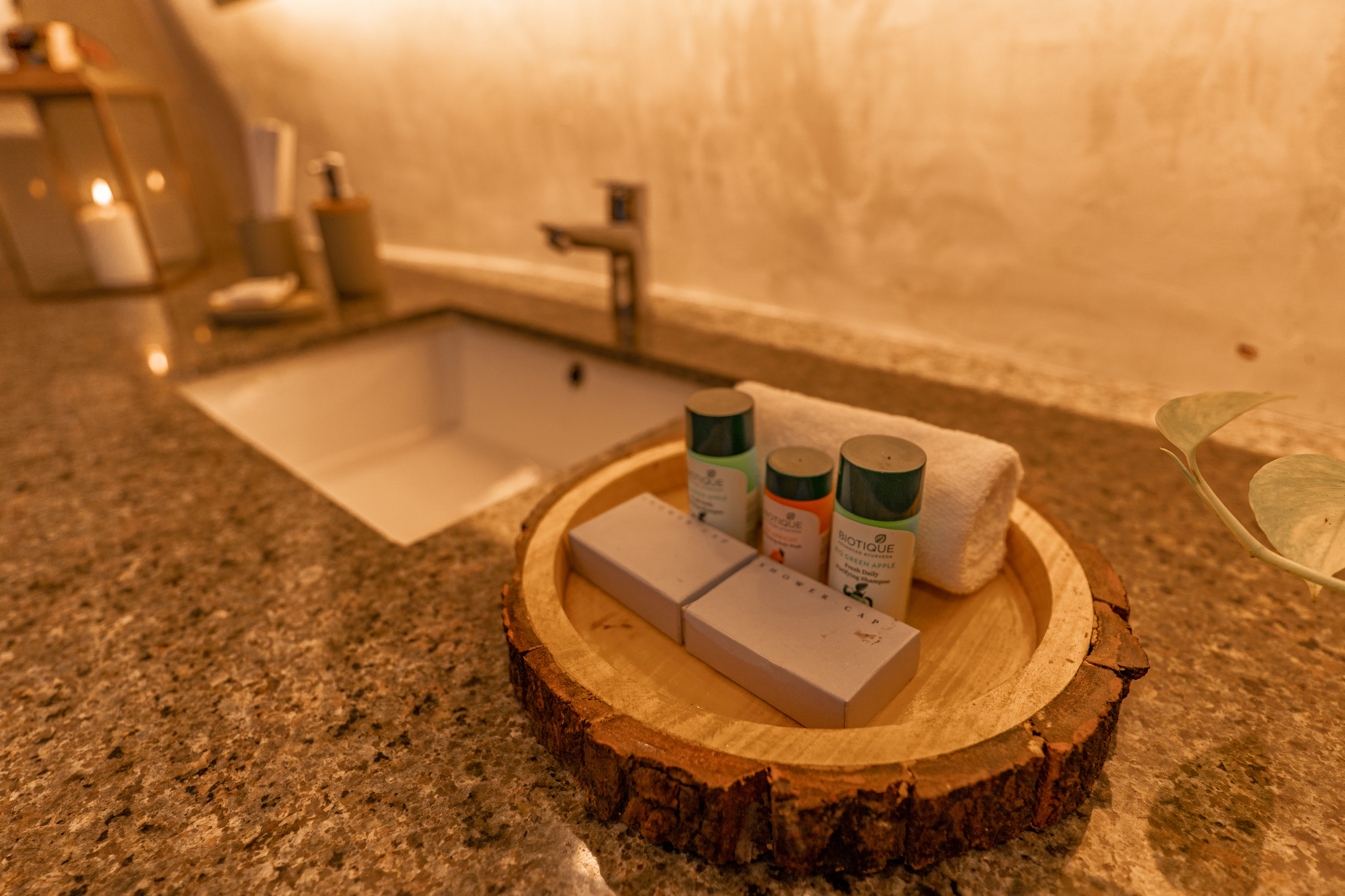 luxury villa for rent with swimming pool in Mahabalipuram